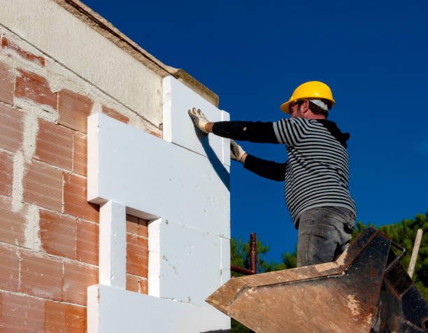 Best Insulation Repair Services  in St Paul, VA