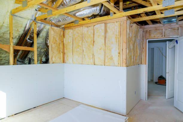 Best Cellulose Insulation  in St Paul, VA